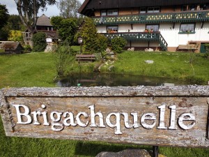 Brigachquelle 