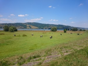 Serbisches Allgäu
