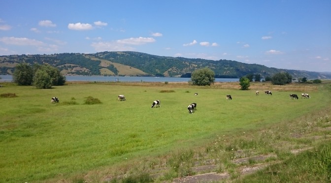 Tag 29: Kovin – Veliko Gradiste (59 km)
